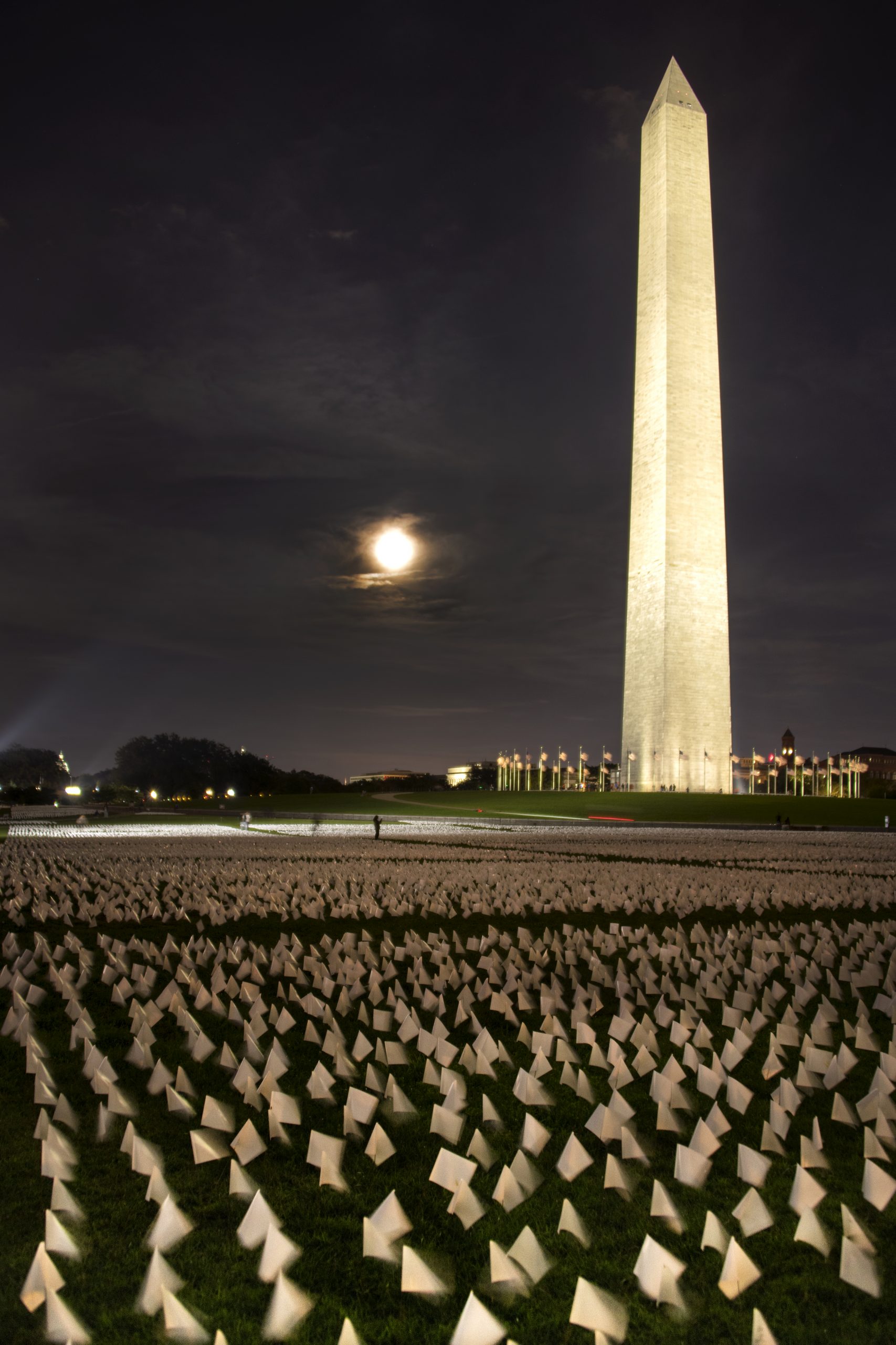 In America: Remember on the National Mall — image 2