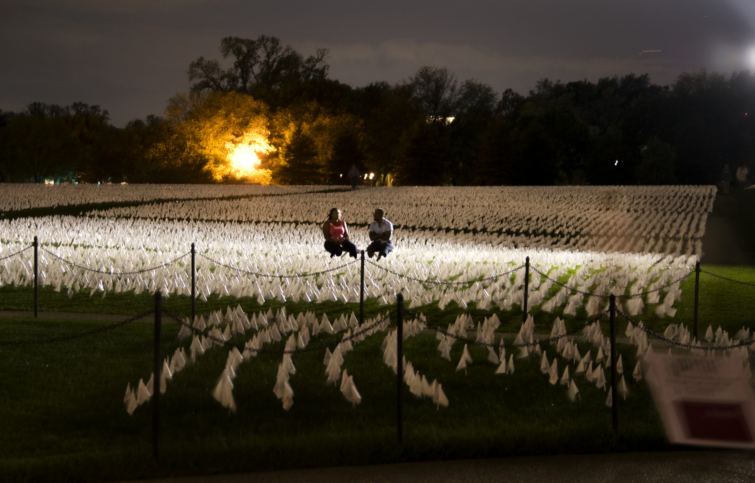 In America: Remember on the National Mall — image 3