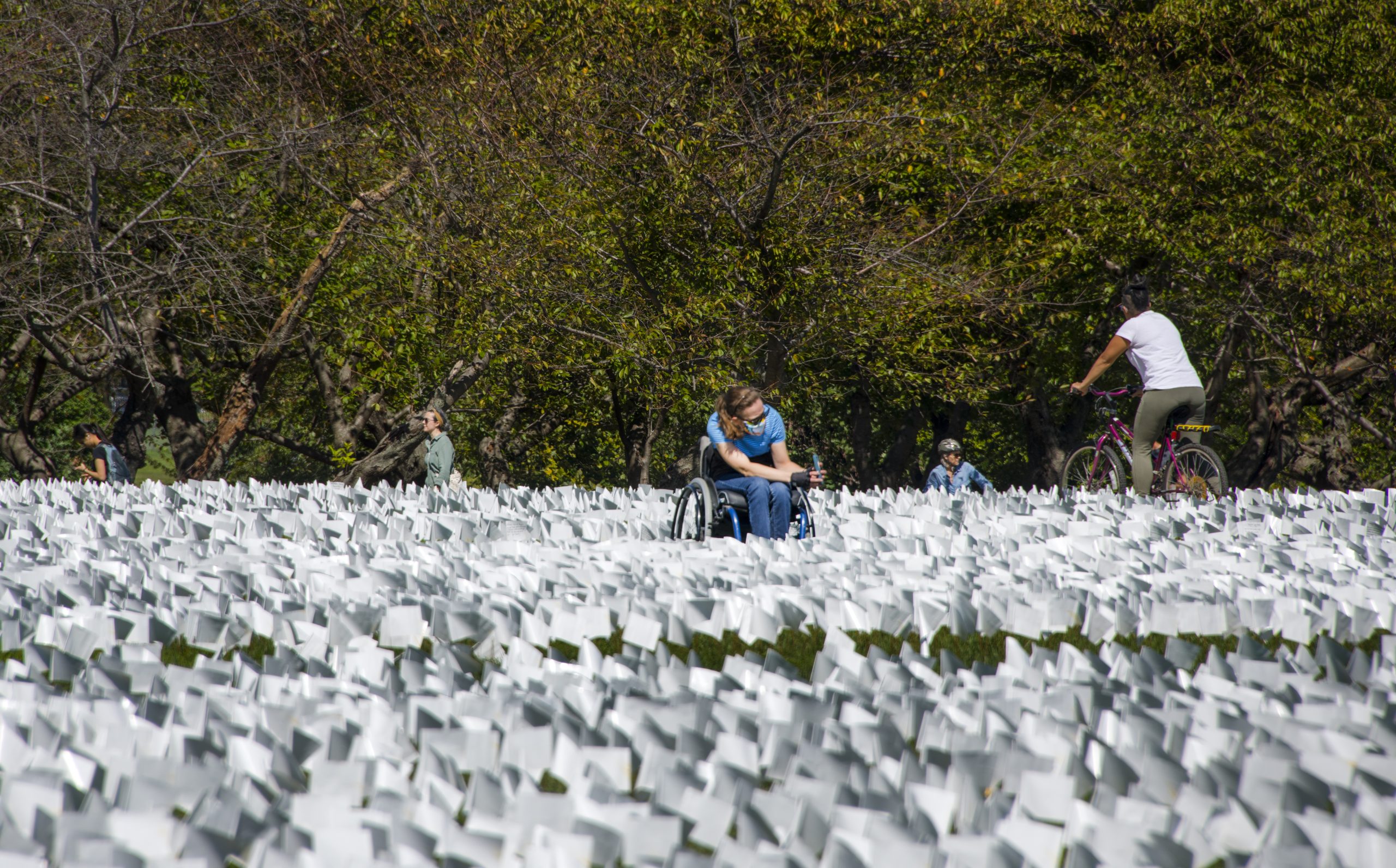 In America: Remember on the National Mall — image 4