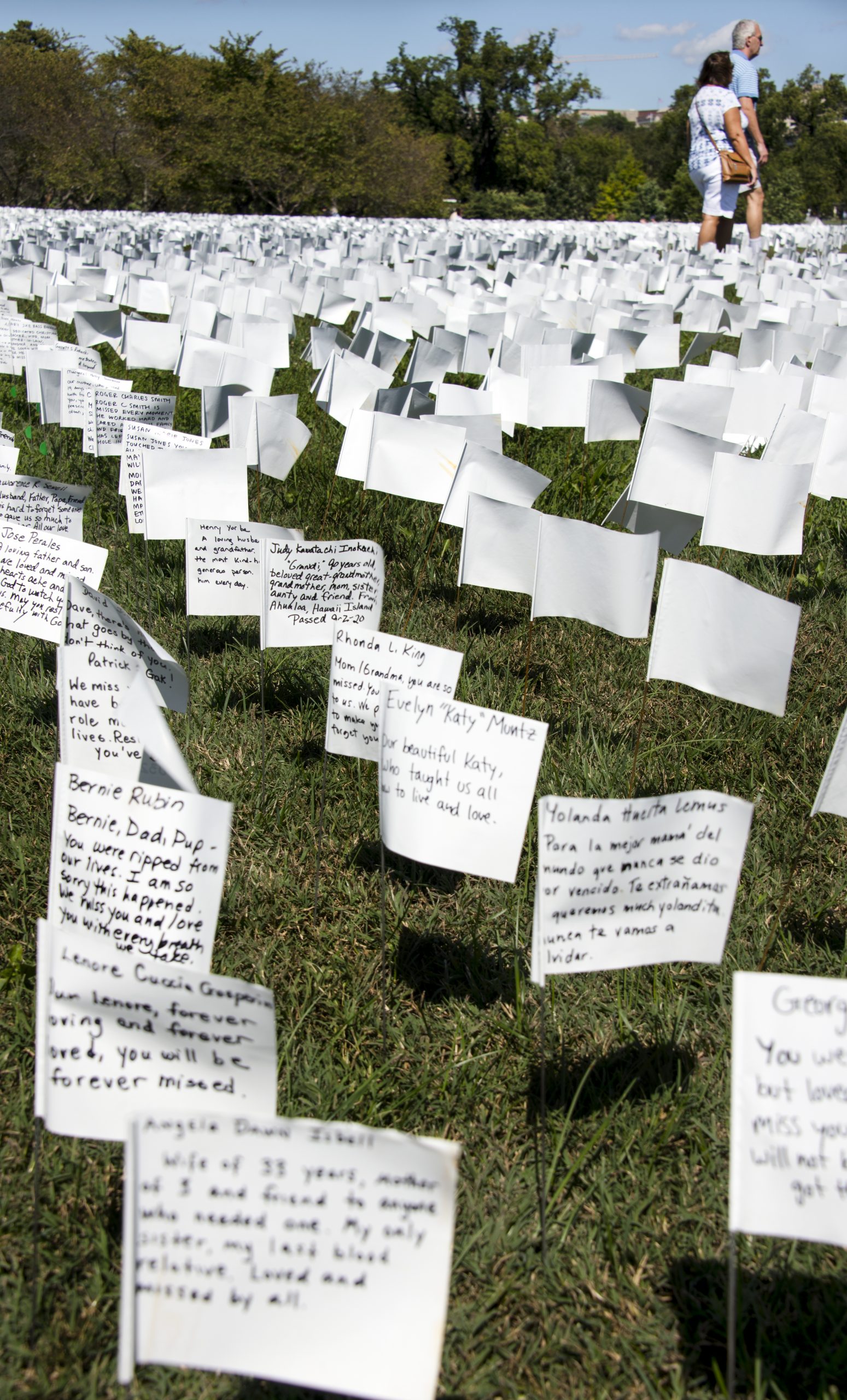 In America: Remember on the National Mall — image 6