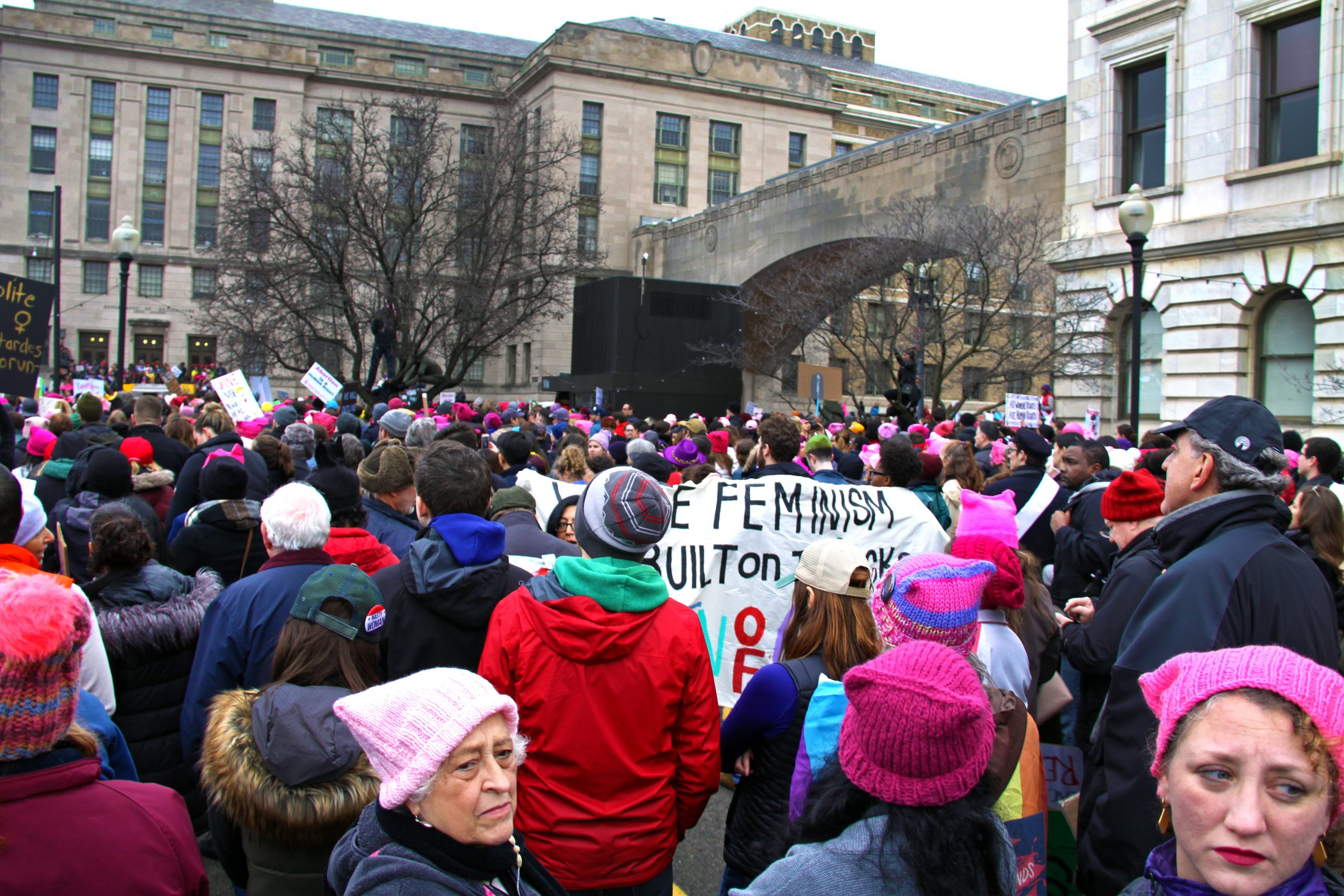Women’s March on Washington, DC — image 4