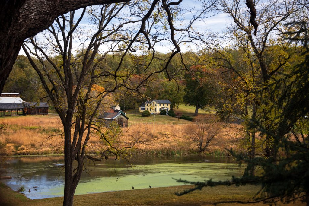 Montpelier landscape