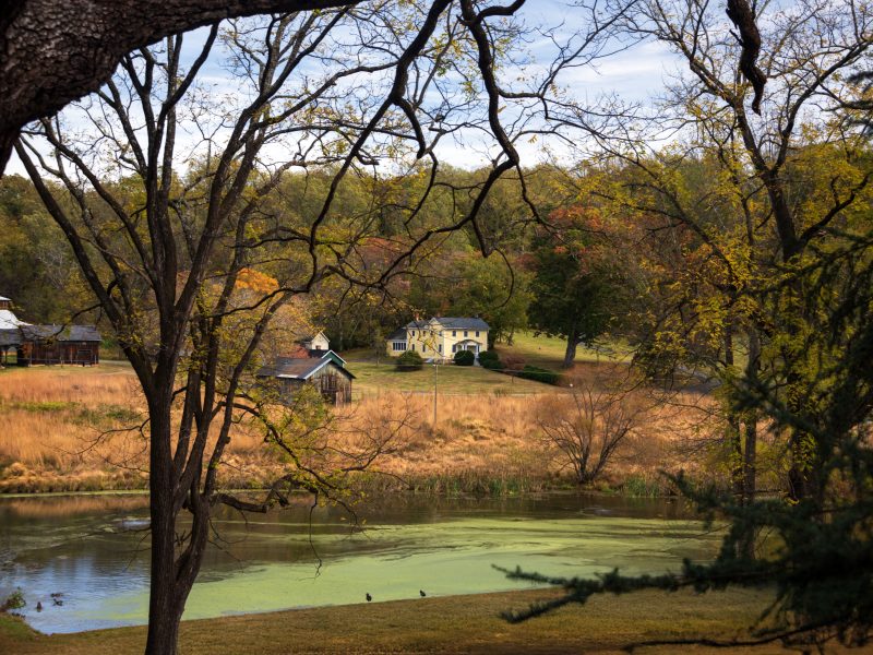Montpelier landscape