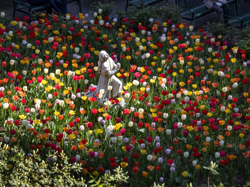 Franciscan Monastery in Spring