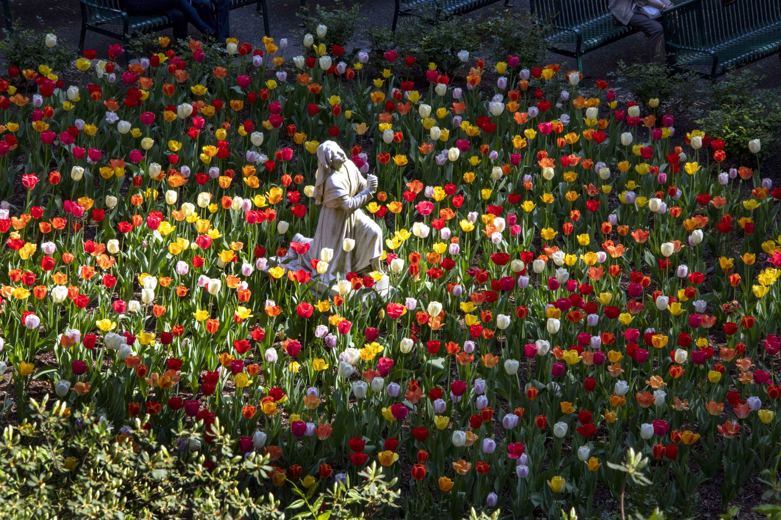 Franciscan Monastery in Spring — image 1