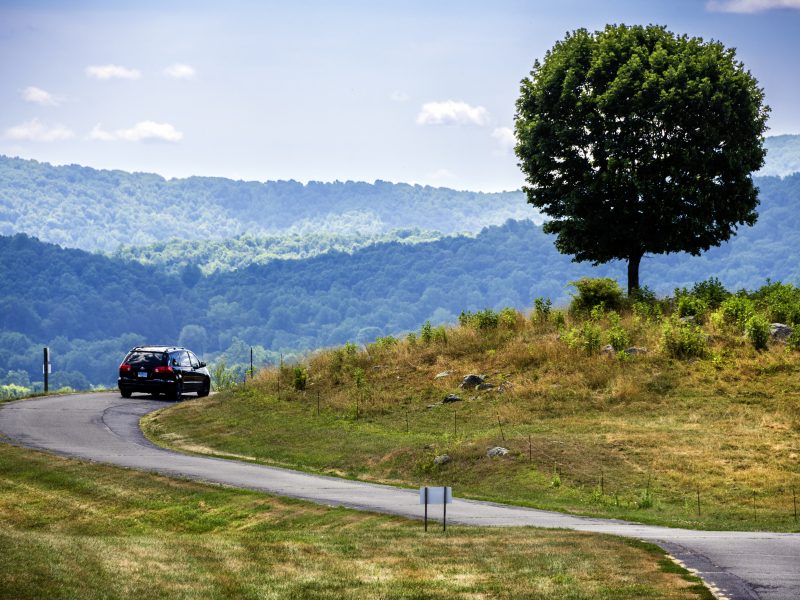 Windy road and tree: Markham, VA