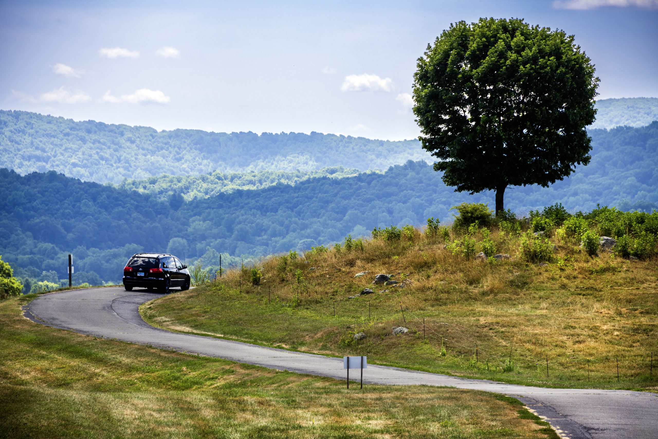 Windy road and tree: Markham, VA