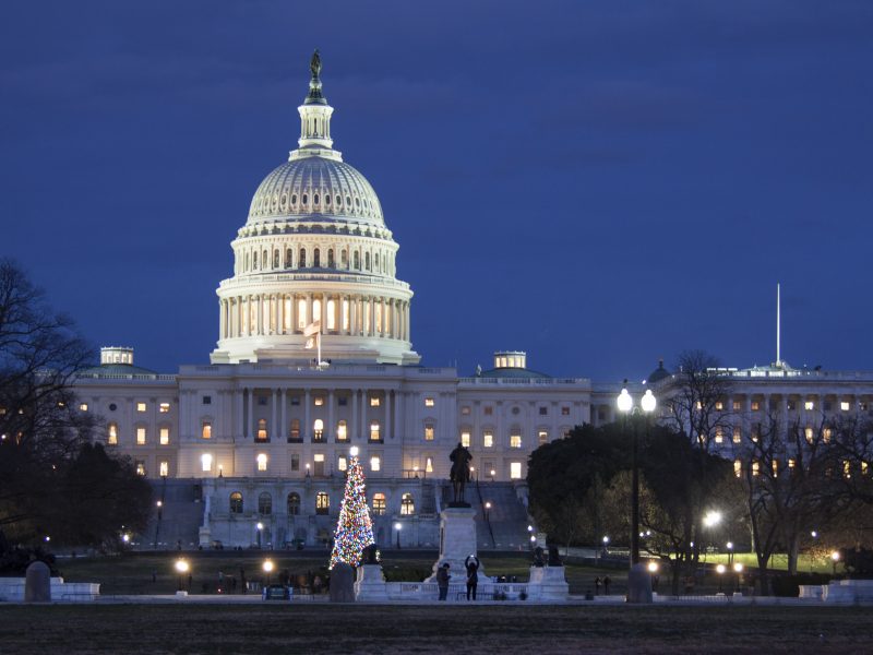 Capitol with Christmas Tree