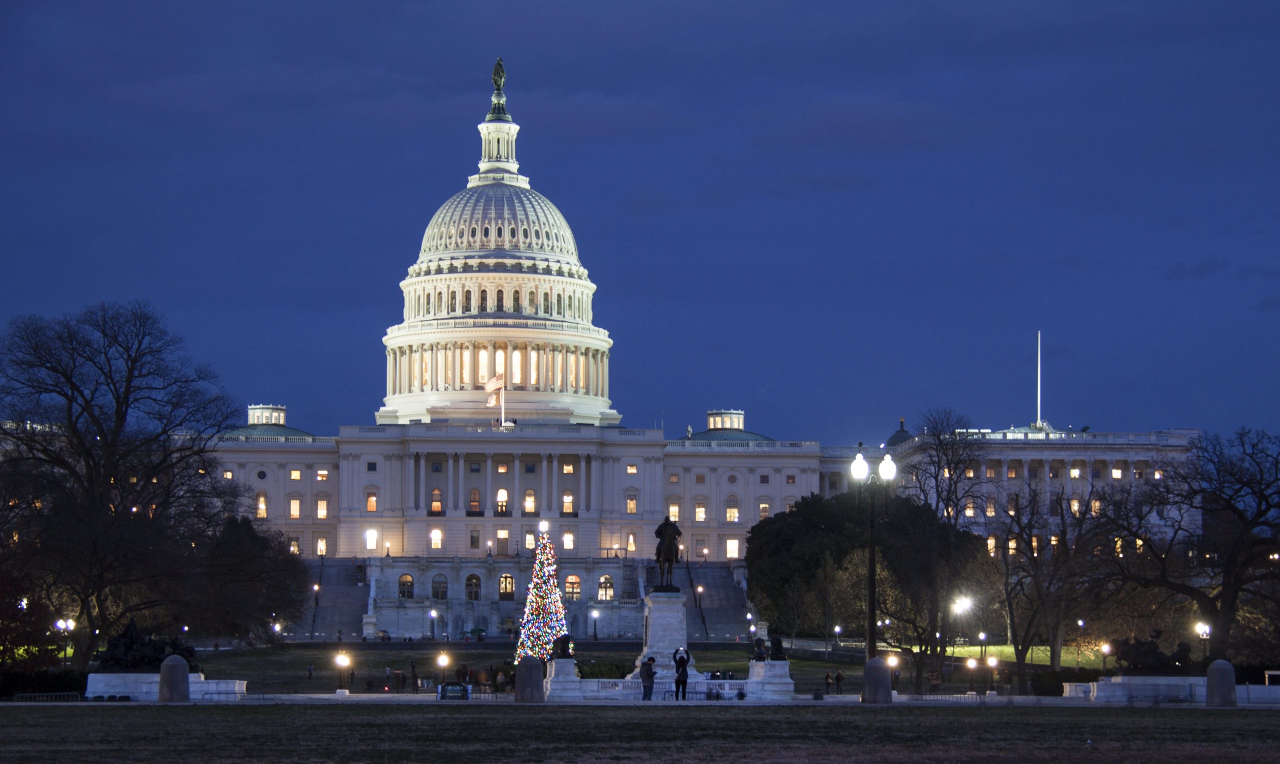 Capitol with Christmas Tree — image 1
