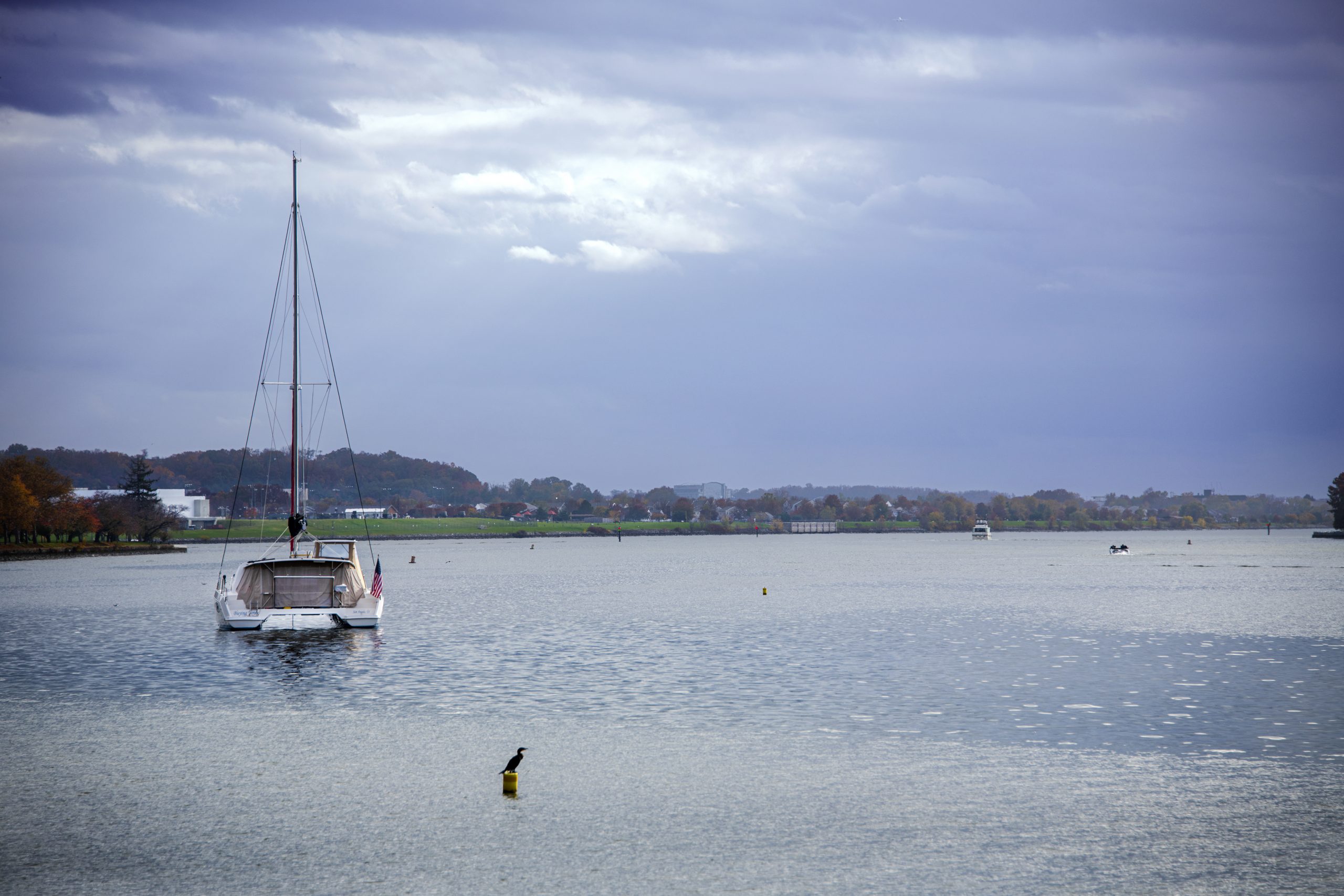 Anacostia River Walk — image 1