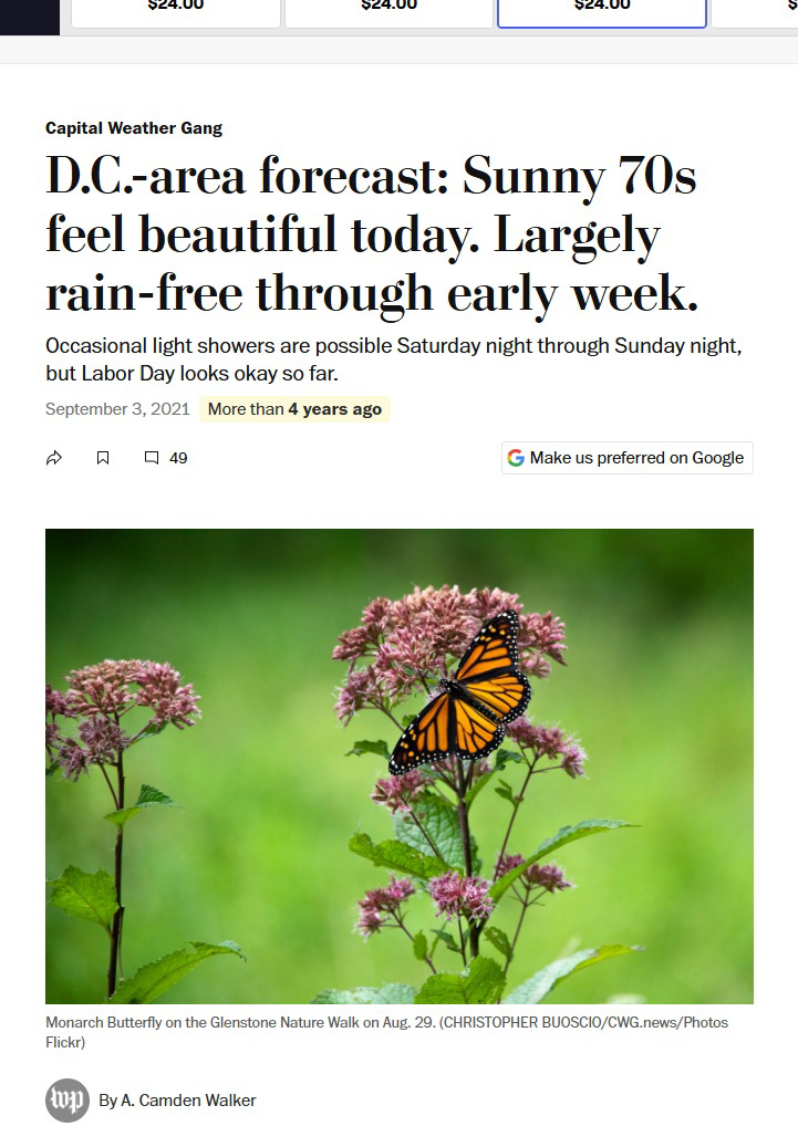 Monarch Butterfly, Glenstone Nature Walk — image 2